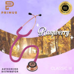 Raspberry